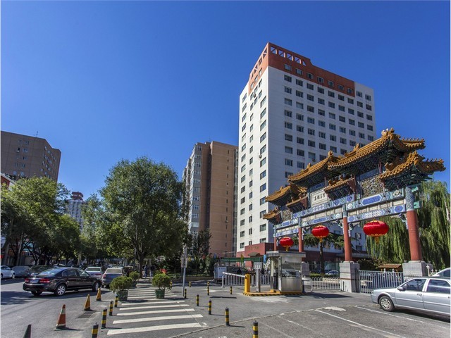 云南富源紫魔芋种子多少钱一公斤